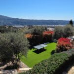 Table Tennis Table & View