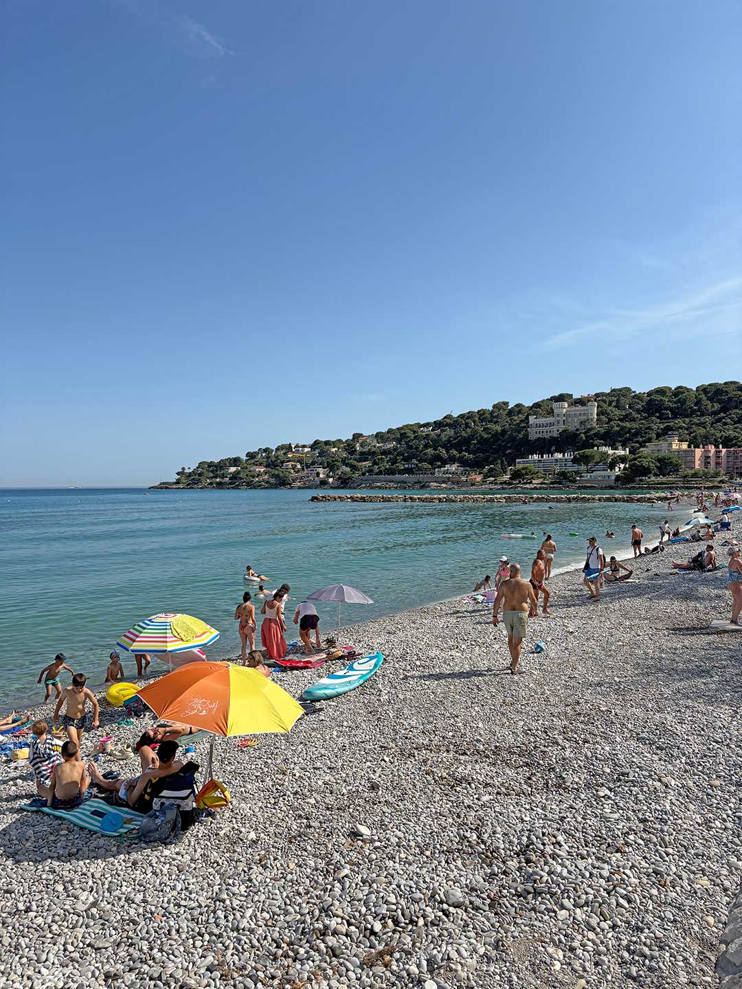 Les Orchidées - The Beach