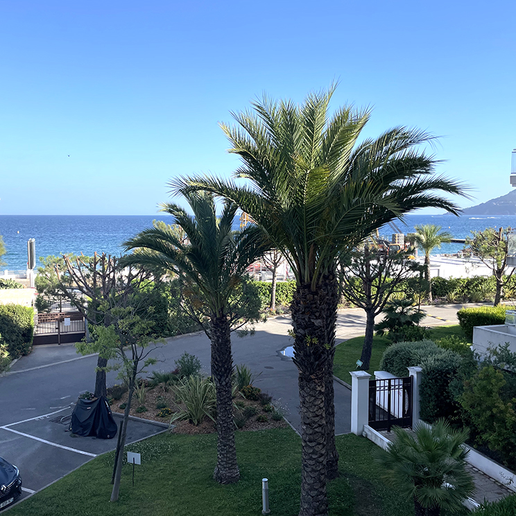 View From Balcony